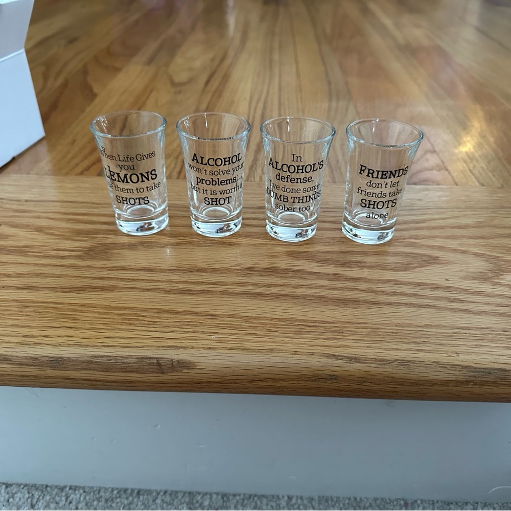 Clear Glass Shot Glass Set with Fun Quotes